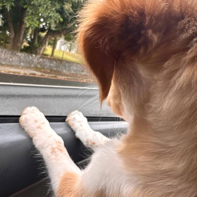 Gone By U (feat. Killovii) - Single