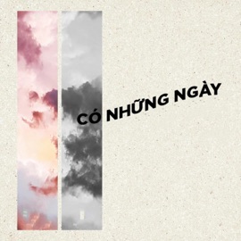 Có Những Ngày (Beat) VietLe & Naidien