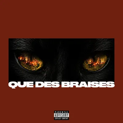 Listen to Que des braises - Single by Dayaz