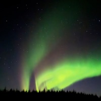 Boreal - Single - Blackie & Lois