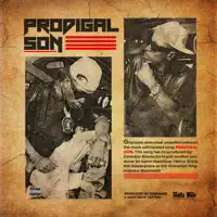 Prodigal Son — Shatta Wale