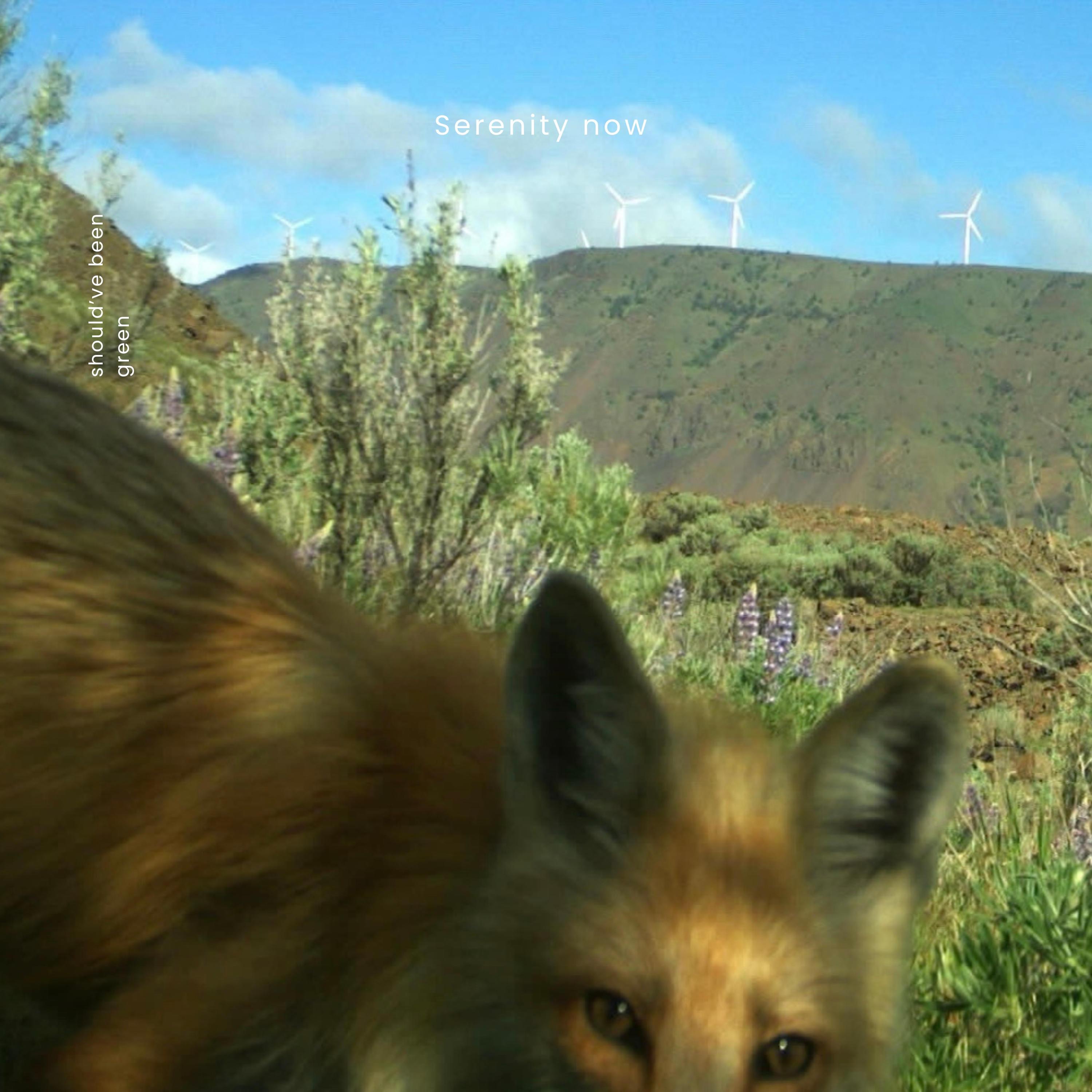 should've been green