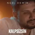 Kalpsizsin