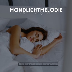 Mondlichtmelodie: Entspannende Schlafgeräusche