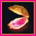 Let Them Eat Oysters