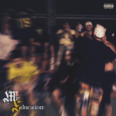 Mr. Education (feat. Gauchito) [Ni-k Remix] - Single
