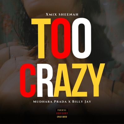 TOO CRAZY (feat. MUDHARA PRADA & BILLY JAY) - Single