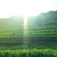 miss u (feat. dgtl) - Single - arl