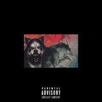 The Wolves - Single - Imperetiv & AYOO BIGZ