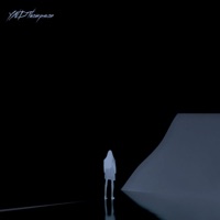 Dont Worry IM Fine - YNDThompson