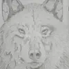 Lone Wolf
