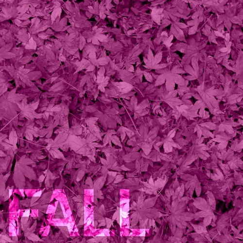 FALL (feat. Danny Bonilla)