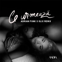 Ce urmeaza (Adrian Funk & Olix Remix) - Single - Andia