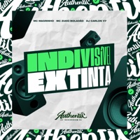 Indivisível Extinta (feat. Mc Magrinho & MC ZUDO BOLADÃO) - Single - DJ CARLOS V7