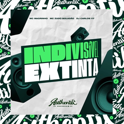 Indivisível Extinta (feat. Mc Magrinho & MC ZUDO BOLADÃO) - Single