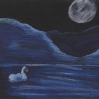 lost&found - wolo polo