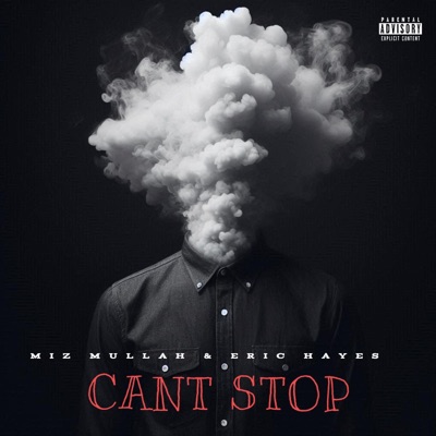 Can't Stop - Single