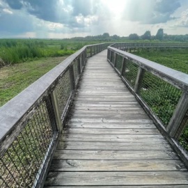 No Mid (feat. Kobelocks & Dj Ob1) DREAMTHUG