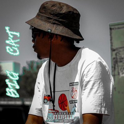 BIG CAT - Single