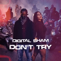Don't Try - Single - Digital Sham