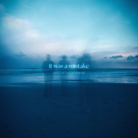 it was a mistake - Single - nocturnal whisper