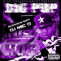 Undaground Hog, Vol. 4 (Slowd N Tapt) [feat. Dj Mic D] - Big Pup