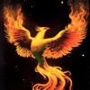 Firebird