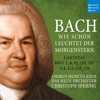 Bach: Wie schön leuchtet der Morgenstern - Cantatas BWV 1, 8, 92, 101, 107, 114, 123, 133, 139