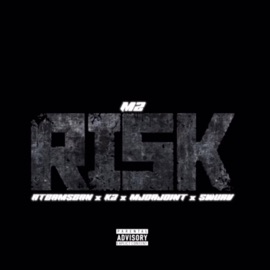 Risk (feat. Ateamsean, K2, Mjdajoint & Swurv) Reallyahtrophyy