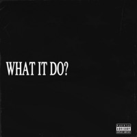 WHAT IT DO? - Single - Chri$ Born