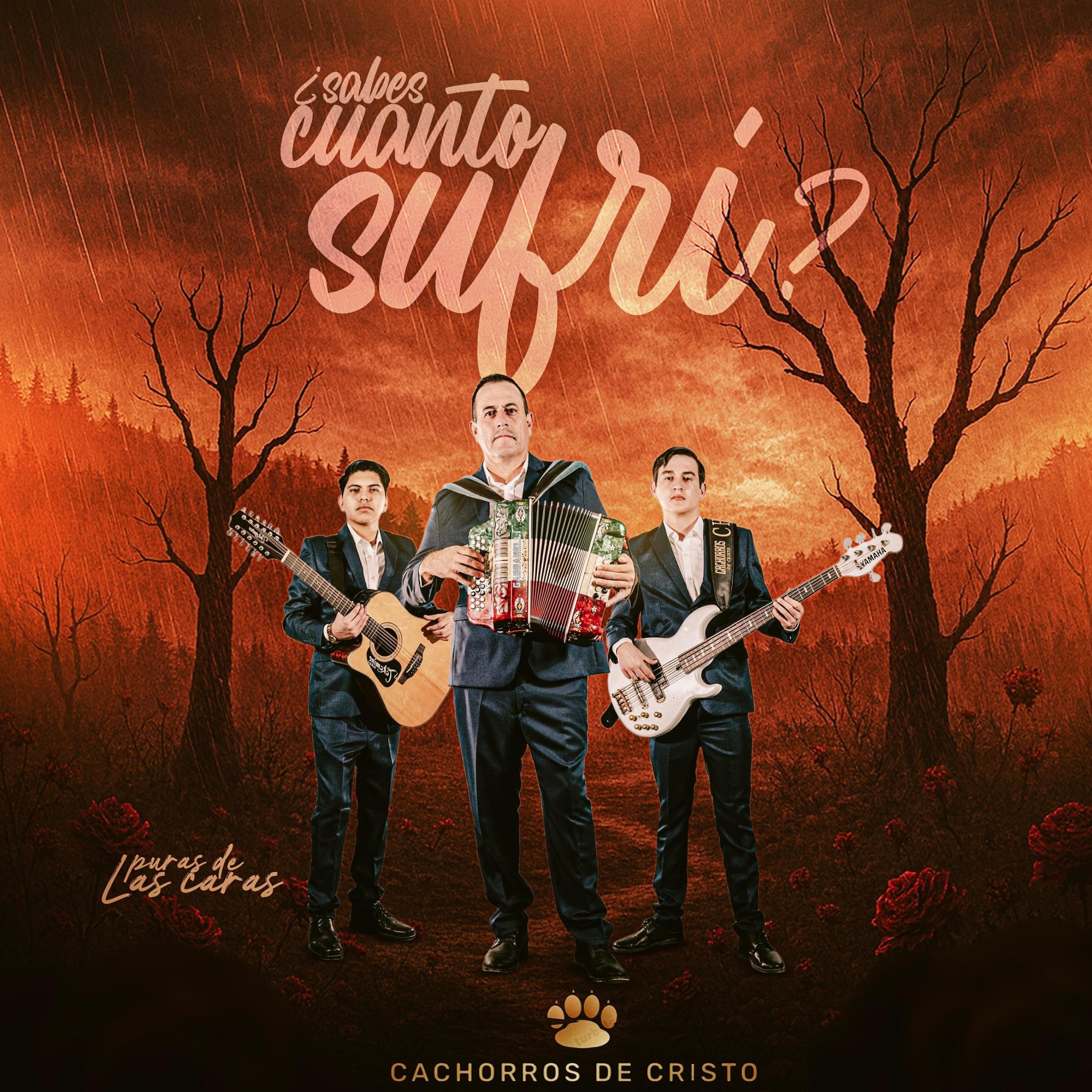 ¿Sabes cuánto sufrí?