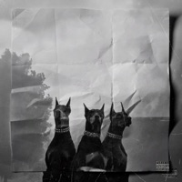 Dog (feat. BGE Dev) - Single - Beezy Blanco