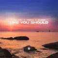 Like You Should