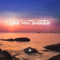 Like You Should - Single - Loudjack, Treals & Sohbek
