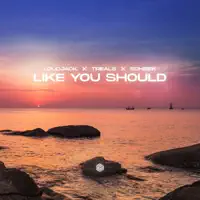 Like You Should — Loudjack