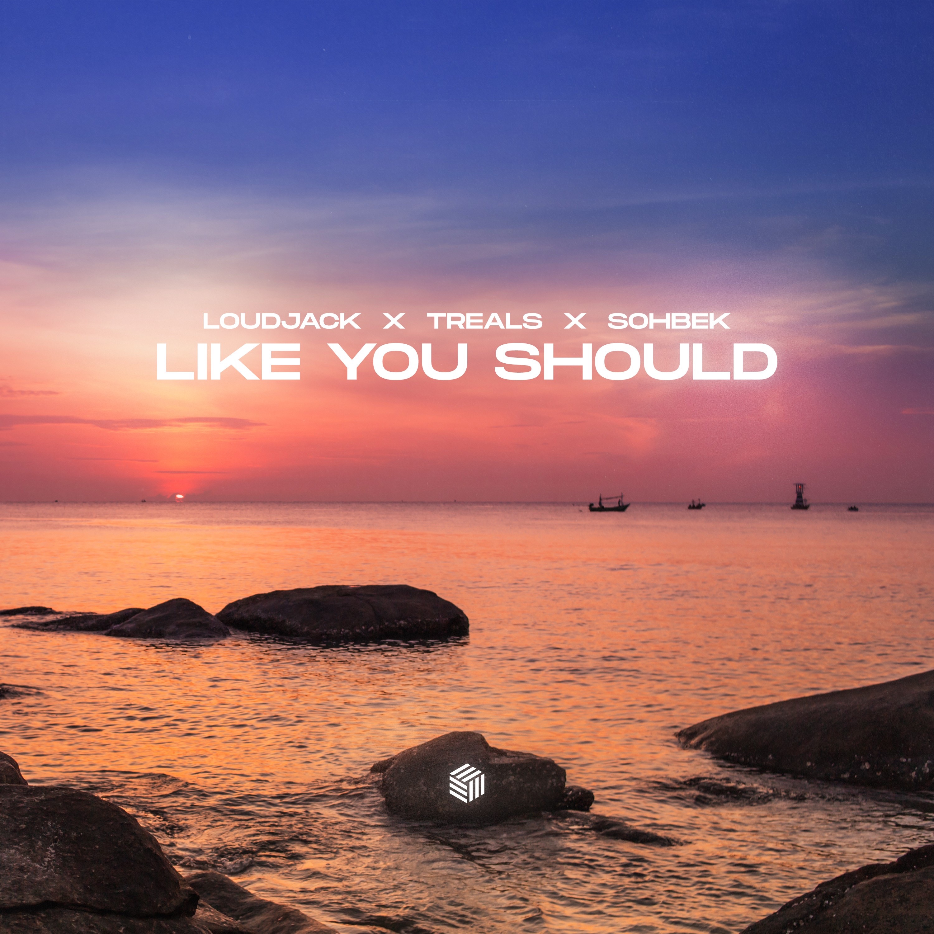 Like You Should - Single