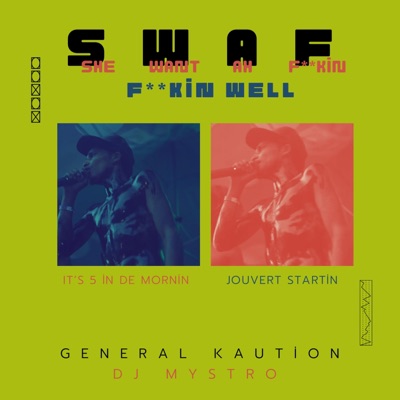 SWAF (Fuckin Well) (feat. Dj Mystro) - Single