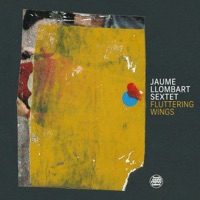 Fluttering wings (feat. Pau Doménech, Miguel Pintxo Villar, Alfred Artigas, Marc Cuevas & Joe Smith) - Single - Jaume Llombart