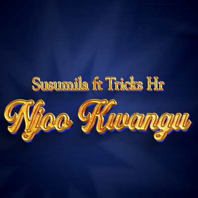Njoo Kwangu (feat. Tricks Hr) - Single