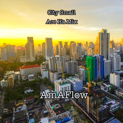 City Small (Ace Ha Mix) (feat. Ace Ha) - Single
