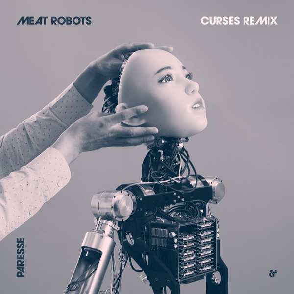 Meat Robots (Curses Remix) - Single