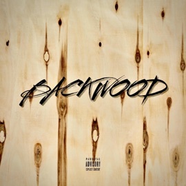 BACKWOOD (feat. SBR Peezyy) LRP Dyl