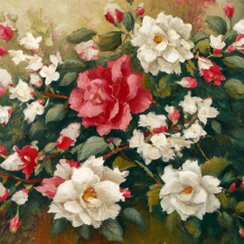 Ρόδα και Γιασεμιά Χρήστος Κουλαξίζης