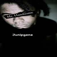 Mr Handsome - Junipgene