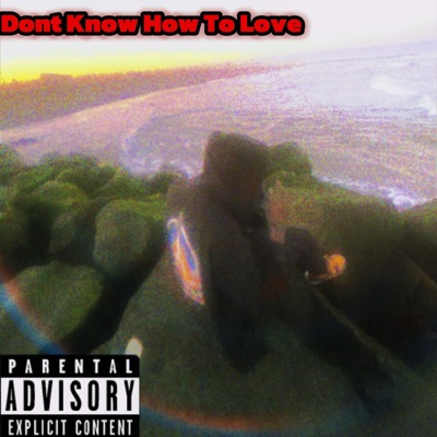 Don't Know How To Love - Single