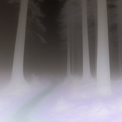 We Can Finally Be Free - Single