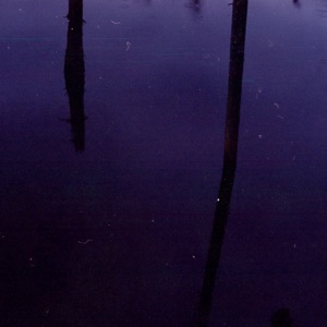 Ambient Selections (Reworked) - Single
