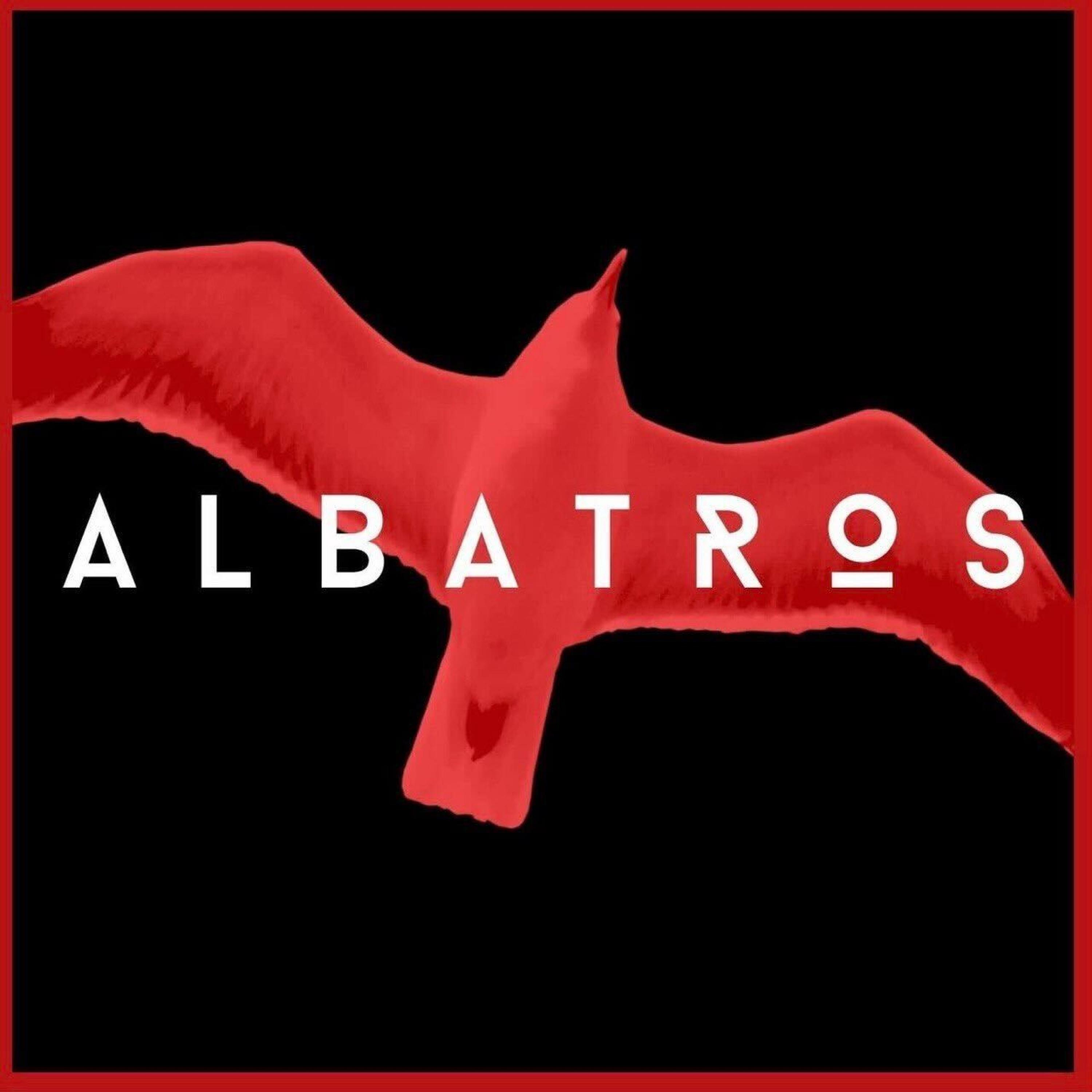 Albatros - Unknown