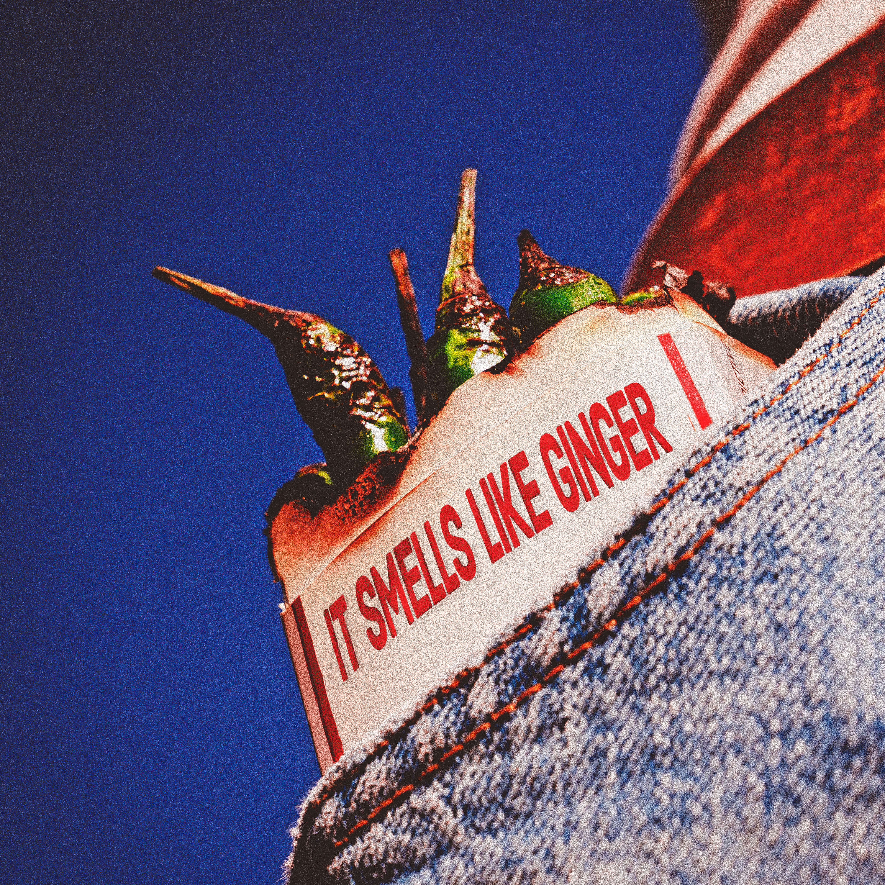 DJ Never Sleeps: Ginger and The Peppers - Strange