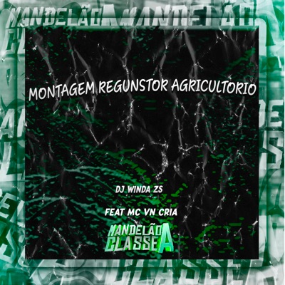 Montagem Regunstor Agricultorio (feat. MC VN Cria) - Single